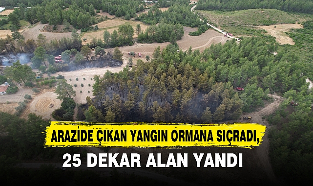 ARAZİDE ÇIKAN YANGIN ORMANA SIÇRADI,