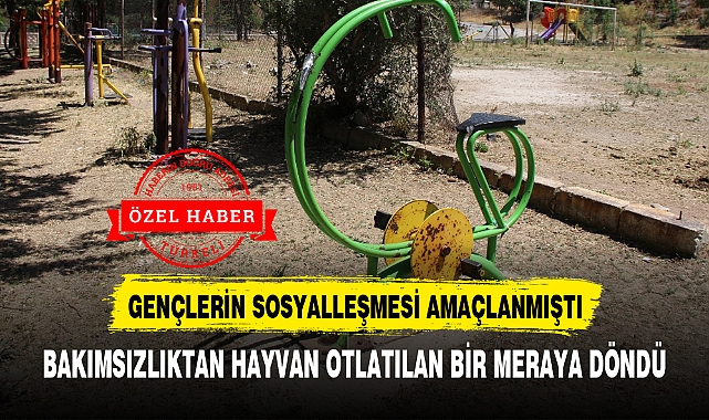 BAKIMSIZLIKTAN HAYVAN OTLATILAN BİR MERAYA DÖNDÜ