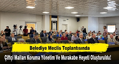 Belediye Meclis Toplantısında Çiftçi Malları Koruma Yönetim Ve Murakabe Heyeti Oluşturuldu!