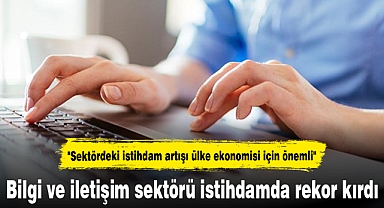 Bilgi ve iletişim sektörü istihdamda rekor kırdı