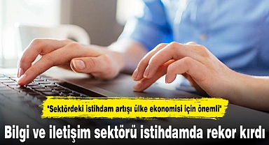 Bilgi ve iletişim sektörü istihdamda rekor kırdı