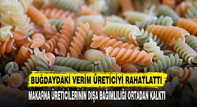 BUĞDAYDAKİ VERİM ÜRETİCİYİ RAHATLATTI