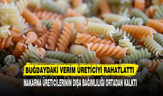 BUĞDAYDAKİ VERİM ÜRETİCİYİ RAHATLATTI