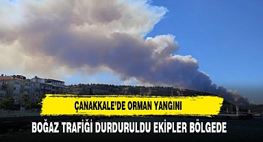 Çanakkale'de orman yangını! Boğaz'da gemi trafiği tek yönlü askıya alındı