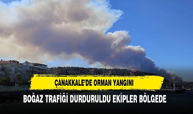 Çanakkale'de orman yangını! Boğaz'da gemi trafiği tek yönlü askıya alındı