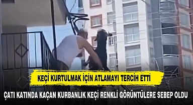 ÇATI KATINDA KAÇAN KURBANLIK KEÇİ RENKLİ GÖRÜNTÜLERE SEBEP OLDU