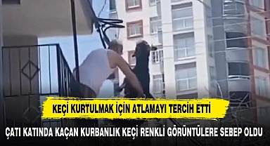 ÇATI KATINDA KAÇAN KURBANLIK KEÇİ RENKLİ GÖRÜNTÜLERE SEBEP OLDU