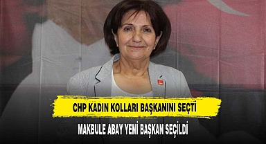 CHP Kadın Kolları Başkanını Seçti Makbule Abay Yeni Başkan Seçildi