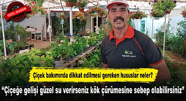 “Çiçeğe gelişi güzel su verirseniz kök çürümesine sebep olabilirsiniz”
