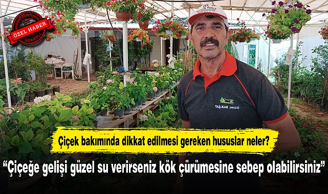 “Çiçeğe gelişi güzel su verirseniz kök çürümesine sebep olabilirsiniz”