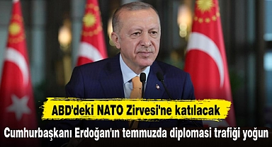 Cumhurbaşkanı Erdoğan'ın temmuzda diplomasi trafiği yoğun