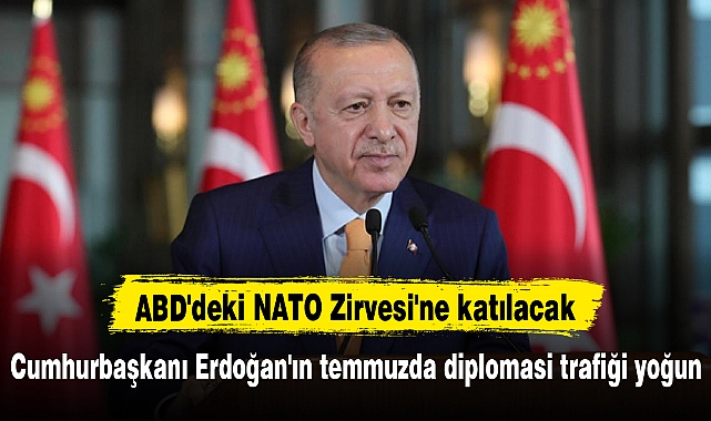 Cumhurbaşkanı Erdoğan'ın temmuzda diplomasi trafiği yoğun