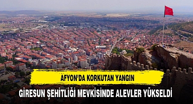 Doğanlar Köyü'nde Yangın: 1.5 Dekarlık Alan Zarar Gördü