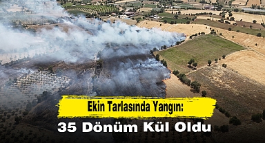 Ekin Tarlasında Yangın: 35 Dönüm Kül Oldu