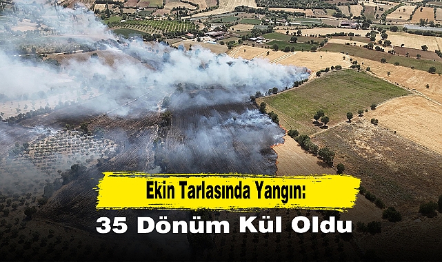 Ekin Tarlasında Yangın: 35 Dönüm Kül Oldu