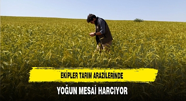 Ekipler Tarım Arazilerinde Yoğun Mesai Harcıyor
