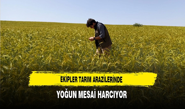 Ekipler Tarım Arazilerinde Yoğun Mesai Harcıyor