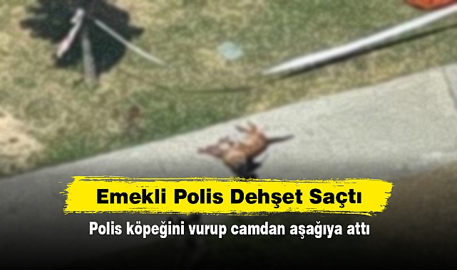 Emekli Polis Dehşet Saçtı: Polis köpeğini vurup camdan aşağıya attı