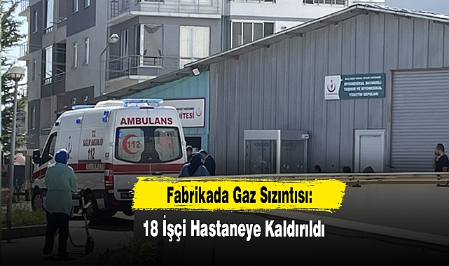 Fabrikada Gaz Sızıntısı: 18 İşçi Hastaneye Kaldırıldı