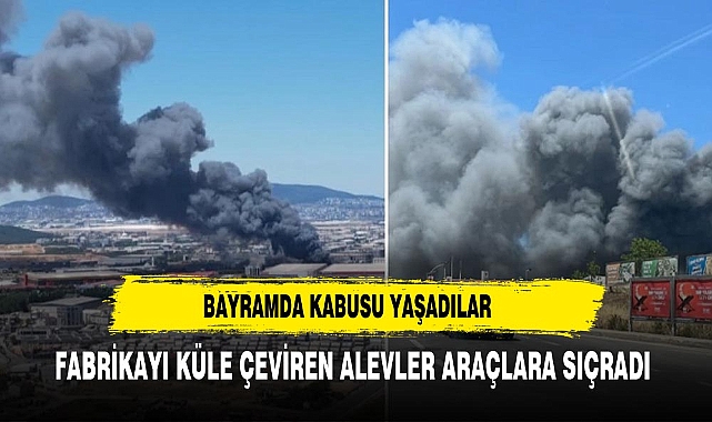 İstanbul'da yangın! Fabrikayı küle çeviren alevler araçlara sıçradı