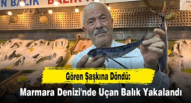 Gören Şaşkına Döndü: Marmara Denizi'nde Uçan Balık Yakalandı!