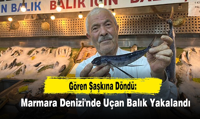 Gören Şaşkına Döndü: Marmara Denizi'nde Uçan Balık Yakalandı!
