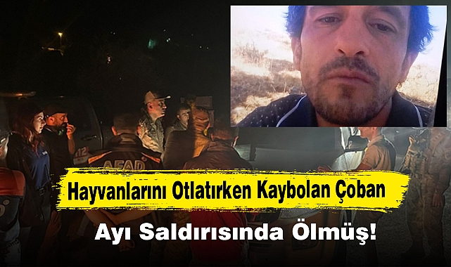Hayvanlarını Otlatırken Kaybolan Çoban, Ayı Saldırısında Ölmüş!