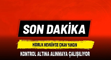Hıdırlık Mevkii'nde Çıkan Yangın Kontrol Altına Alınmaya Çalışılıyor
