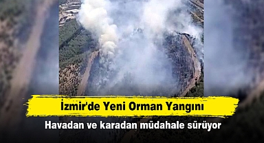 İzmir'de Yeni Orman Yangını: Havadan ve karadan müdahale başladı