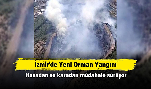 İzmir'de Yeni Orman Yangını: Havadan ve karadan müdahale başladı