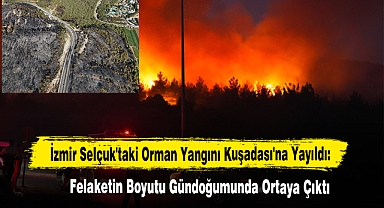 İzmir Selçuk'taki Orman Yangını Kuşadası'na Yayıldı: Felaketin Boyutu Gündoğumunda Ortaya Çıktı