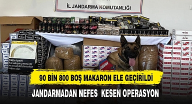Jandarma 90 bin 800 adet çeşitli markalarda boş makaron ele geçirdi
