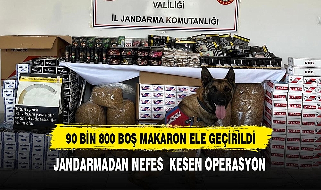 Jandarma 90 bin 800 adet çeşitli markalarda boş makaron ele geçirdi
