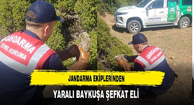 Jandarma Ekiplerinden Yaralı Baykuşa Şefkat Eli