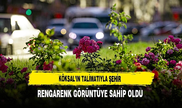 Köksal'ın Talimatıyla Şehir Rengarenk Görüntüye Sahip Oldu