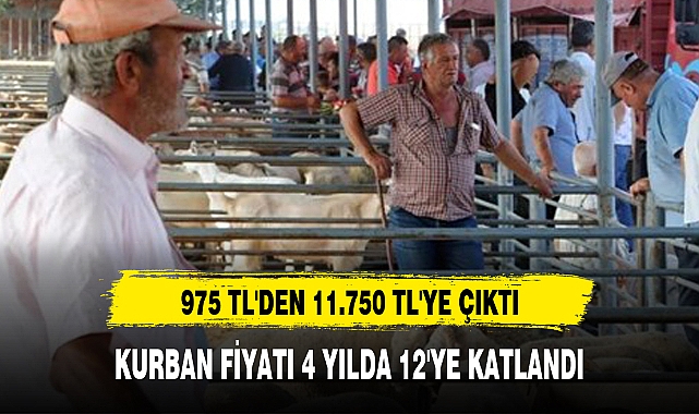 KURBAN FİYATI 4 YILDA 12'YE KATLANDI