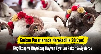 Kurban Pazarlarında Hareketlilik Sürüyor!