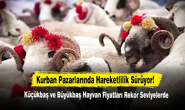 Kurban Pazarlarında Hareketlilik Sürüyor!