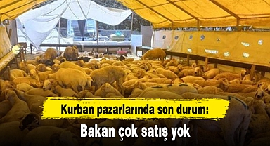 Kurban pazarlarında son durum: Bakan çok satış yok