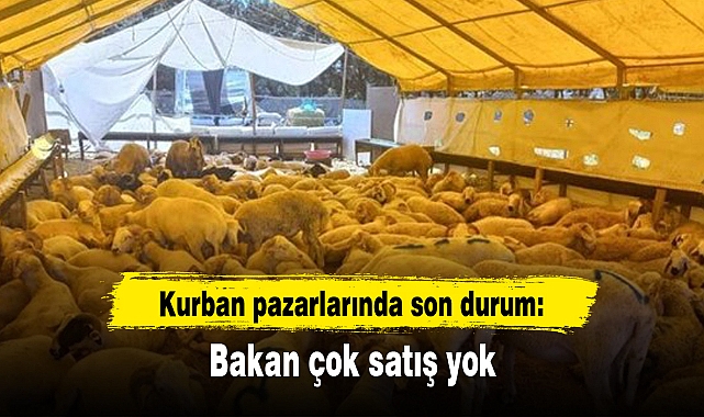Kurban pazarlarında son durum: Bakan çok satış yok
