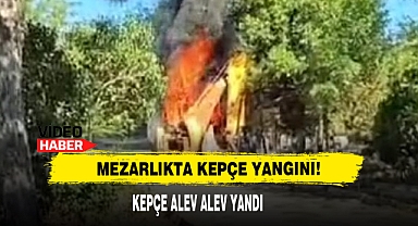 Mezarlıkta Kepçe Yangını!