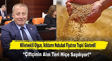 Milletvekili Olgun, İktidarın Hububat Fiyatına Tepki Gösterdi!