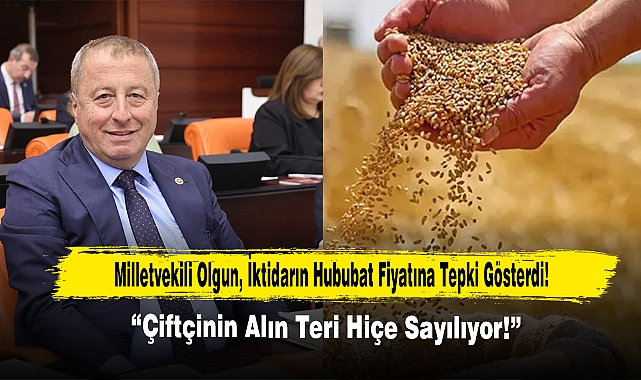 Milletvekili Olgun, İktidarın Hububat Fiyatına Tepki Gösterdi!