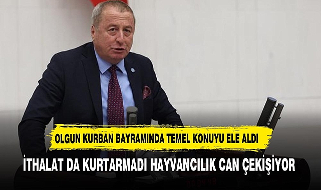 OLGUN İKTİDARI KURBANLIK HAYVAN ÜZERİNDEN ELEŞTİRDİ.