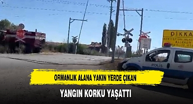 Ormanlık Alana Yakın Yerde Çıkan Yangın Korku Yaşattı