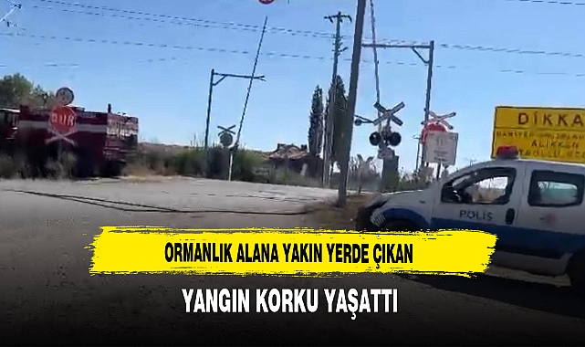 Ormanlık Alana Yakın Yerde Çıkan Yangın Korku Yaşattı