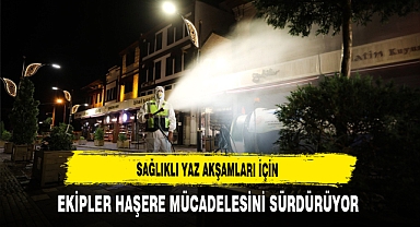 Sağlıklı Yaz Akşamları İçin Ekipler Haşere Mücadelesini Sürdürüyor