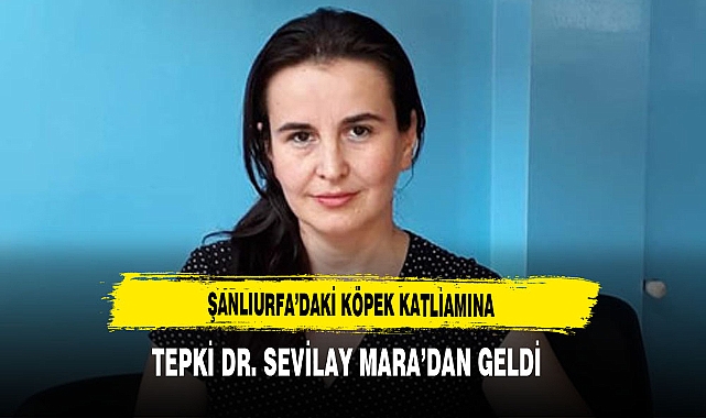 Şanlıurfa’daki Köpek Katliamına Tepki Dr. Sevilay Mara’dan Geldi