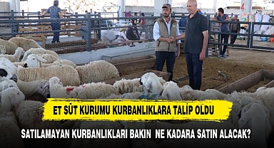 SATILAMAYAN KURBANLIKLAR KAÇ NE KADAR'A ALINACAK