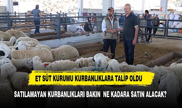 SATILAMAYAN KURBANLIKLAR KAÇ  NE KADAR'A ALINACAK